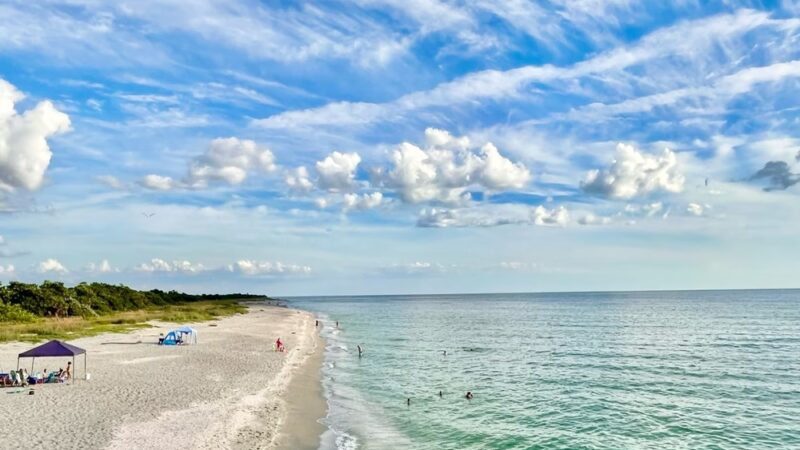 South Brohard Park - Venice, FL