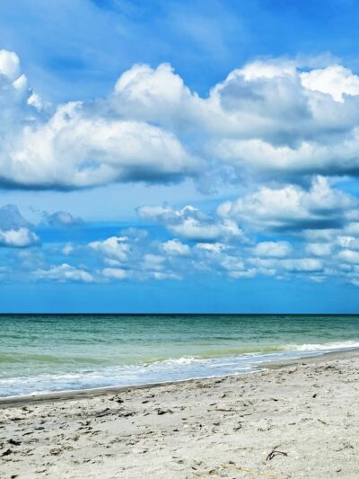 South Brohard Park - Venice, FL