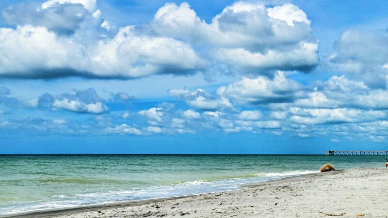 South Brohard Park - Venice, FL