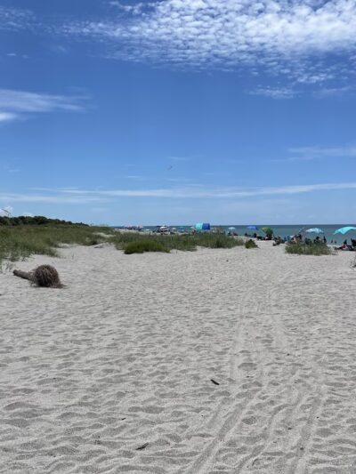 South Brohard Park - Venice, FL