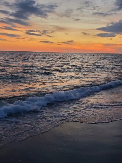 South Brohard Park - Venice, FL