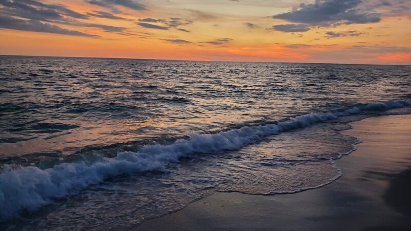 South Brohard Park - Venice, FL
