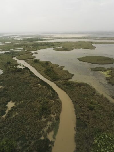 Pass A Loutre State Wildlife Management Area - Venice, LA