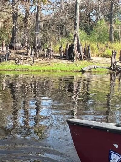 Fisheating Creek Wildlife Management Area - Venus, FL