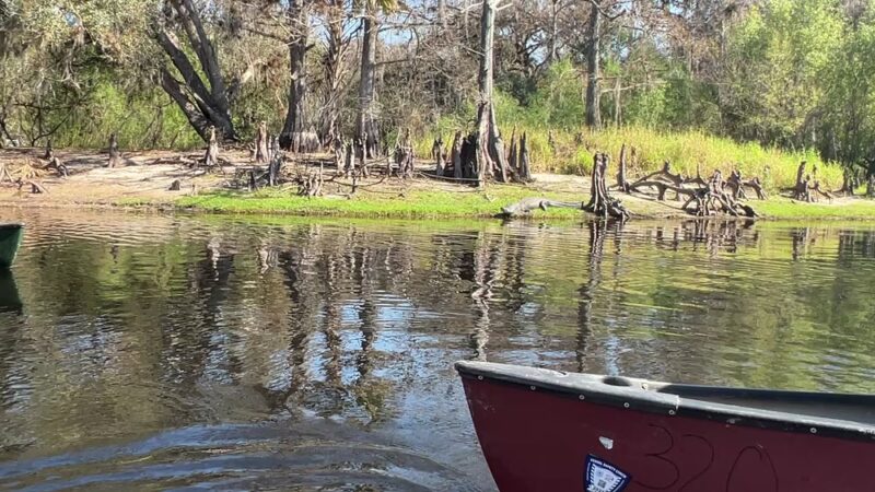 Fisheating Creek Wildlife Management Area - Venus, FL