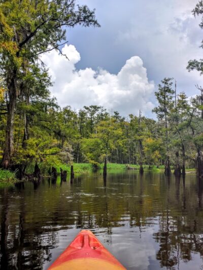 Fisheating Creek Wildlife Management Area - Venus, FL