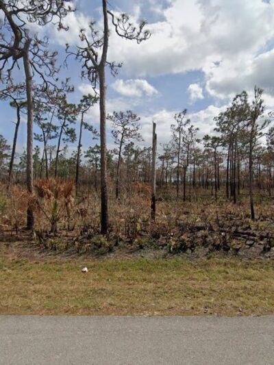 Venus Flatwoods - Venus, FL