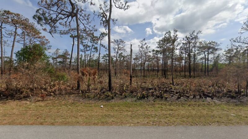 Venus Flatwoods - Venus, FL