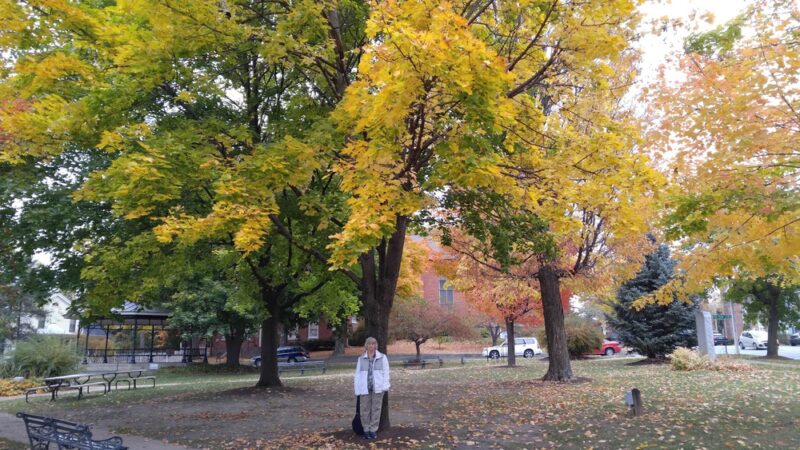 Vergennes City Park - Vergennes, VT