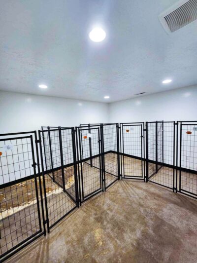 Animal House Day Care - Vernal, UT