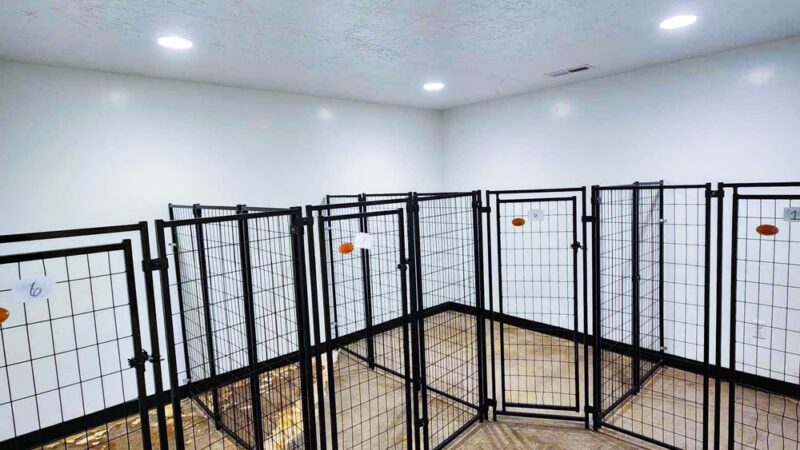 Animal House Day Care - Vernal, UT