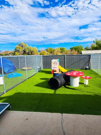Animal House Day Care - Vernal, UT