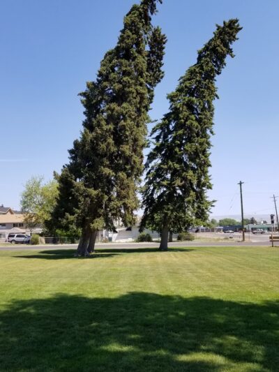 Independence Park - Vernal, UT