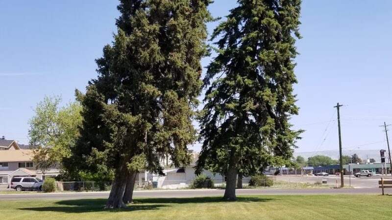 Independence Park - Vernal, UT