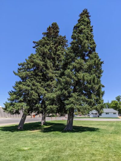 Independence Park - Vernal, UT