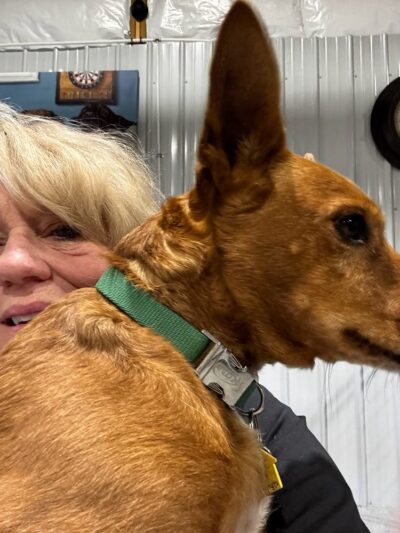 Joy’s landing doggie daycare resort - Vernal, UT