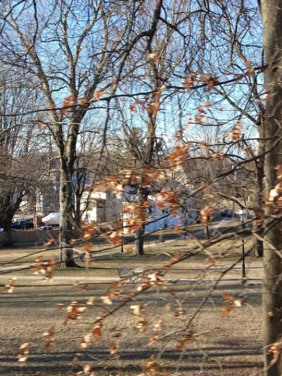 Talcott Park - Vernon, CT