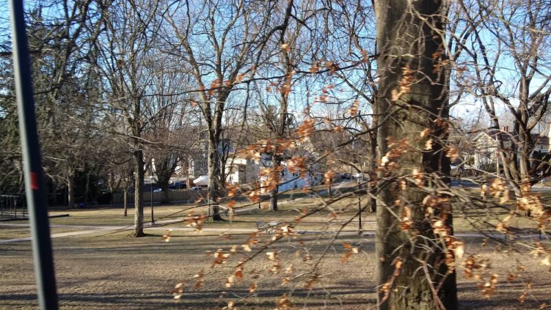 Talcott Park - Vernon, CT