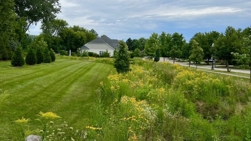 Beaver Creek Park - Vernon Hills, IL
