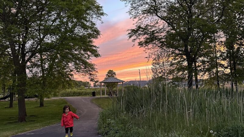 Carriage Green Park - Vernon Hills, IL