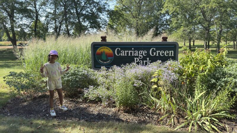 Carriage Green Park - Vernon Hills, IL