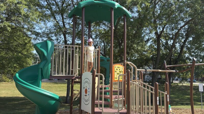 Carriage Green Park - Vernon Hills, IL