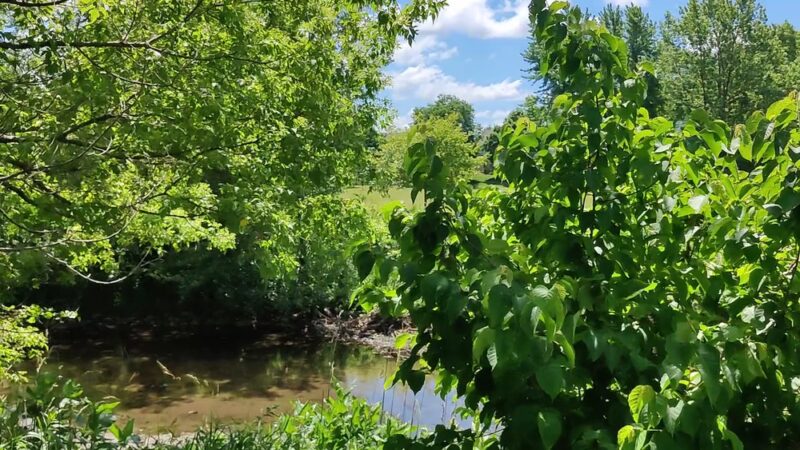 Castle Park - Vernon Hills, IL