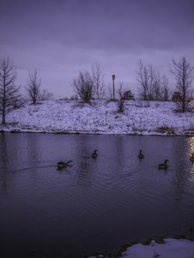 Castle Park - Vernon Hills, IL