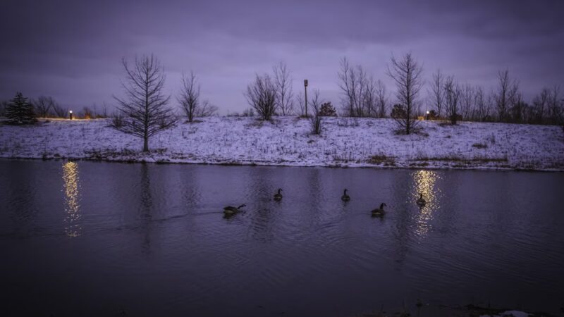 Castle Park - Vernon Hills, IL