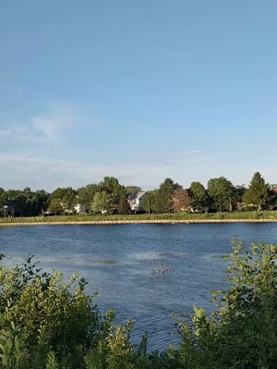 Century Park Arboretum - Vernon Hills, IL