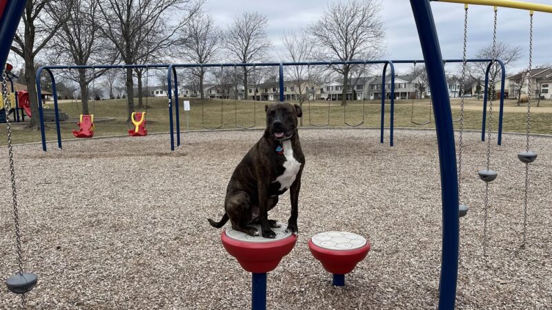 Cynthia T. Peterson Park - Vernon Hills, IL