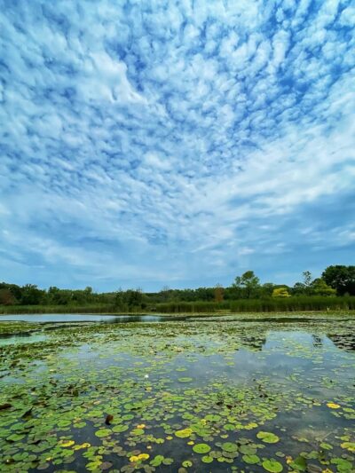 Half Day Forest Preserve - Vernon Hills, IL