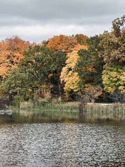 Half Day Forest Preserve - Vernon Hills, IL