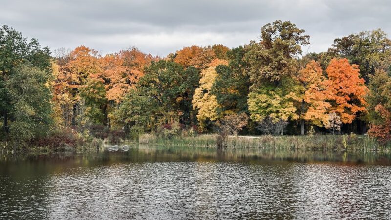 Half Day Forest Preserve - Vernon Hills, IL