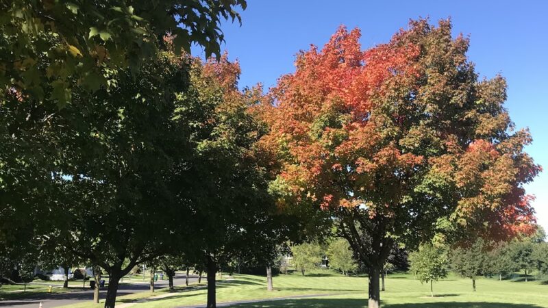 Hawthorn Club Park - Vernon Hills, IL