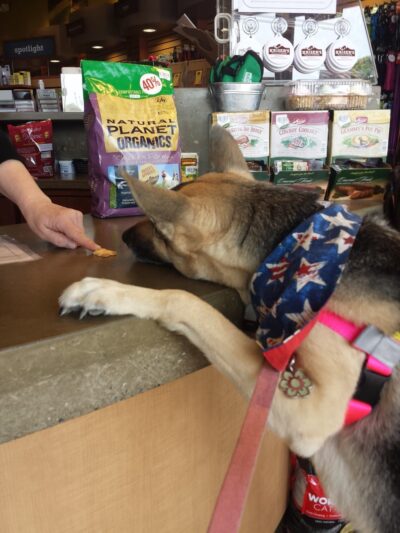 Kriser's Natural Pet - Vernon Hills, IL
