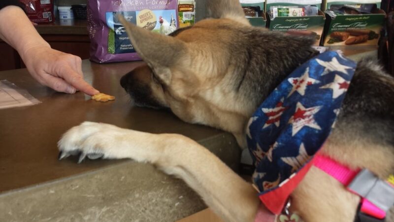 Kriser's Natural Pet - Vernon Hills, IL