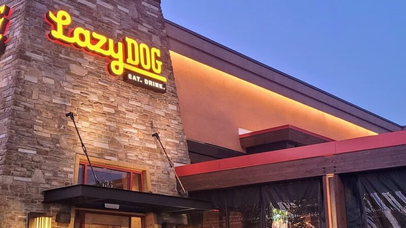 Lazy Dog Restaurant & Bar - Vernon Hills, IL