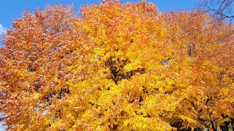 Playground - Vernon Hills, IL