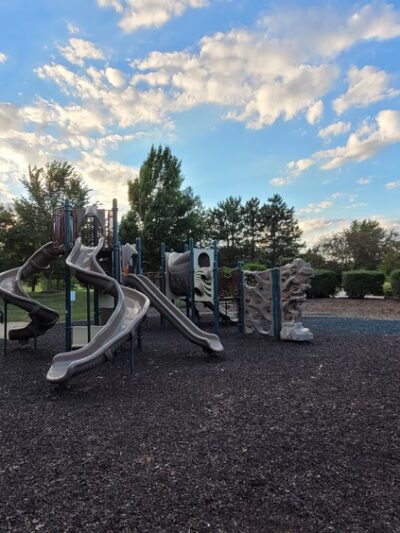 Torrey Pines Park - Vernon Hills, IL