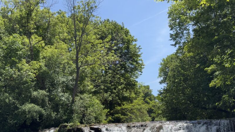 Bartholomew Memorial Park - Vernon, NY