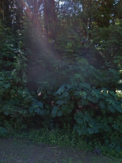 Archie Dass Dog Park - Vernonia, OR