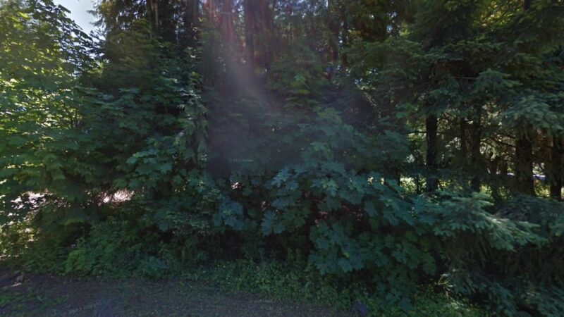 Archie Dass Dog Park - Vernonia, OR