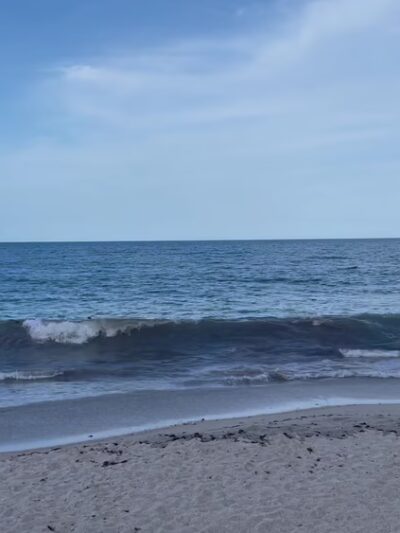 Wabasso Beach Park - Vero Beach, FL