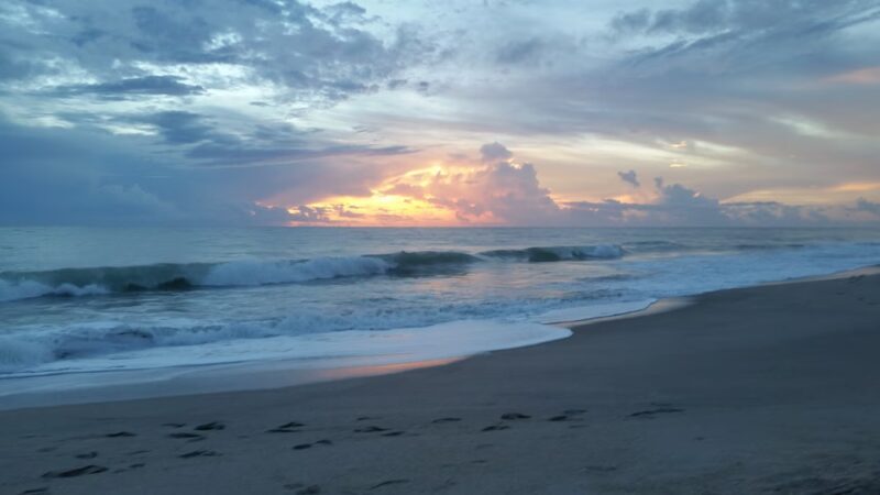 Wabasso Beach Park - Vero Beach, FL