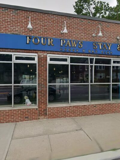 Four Paws Stay & Play - Verona, NJ