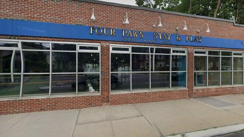 Four Paws Stay & Play - Verona, NJ