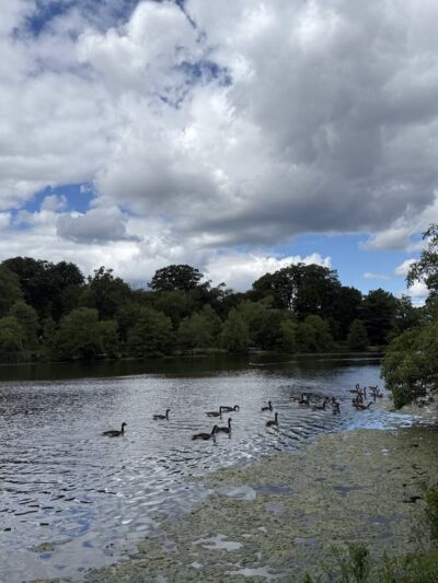 Verona Park Parking - Verona, NJ
