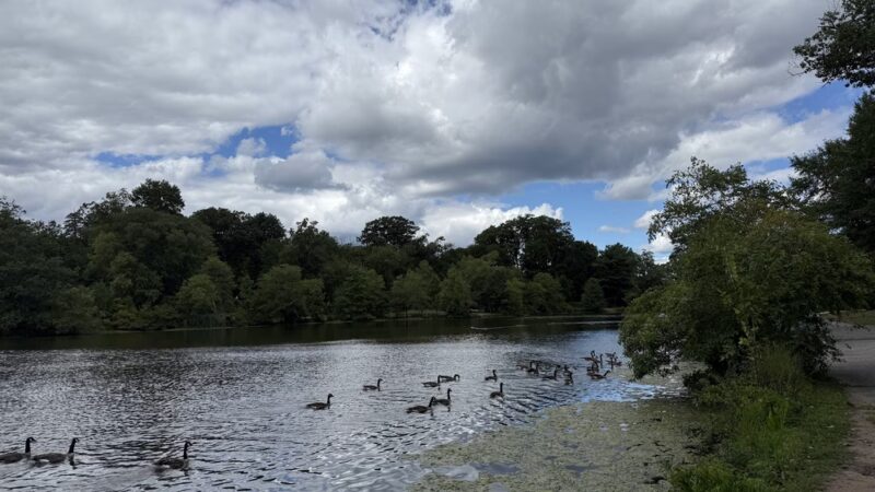 Verona Park Parking - Verona, NJ