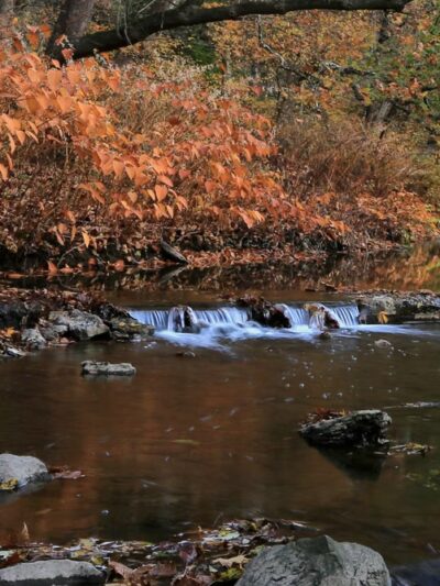 Penn Hills Community Park - Verona, PA